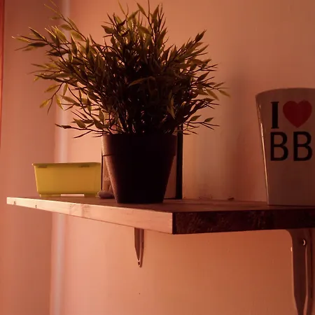 Bed & Breakfast‎ Asinelli